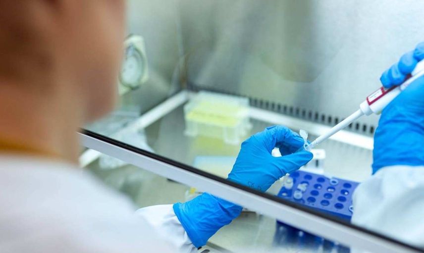 Moleküler Biyoloji ve Genetik DGS 2022 taban puanları ve bölüm kontenjanları