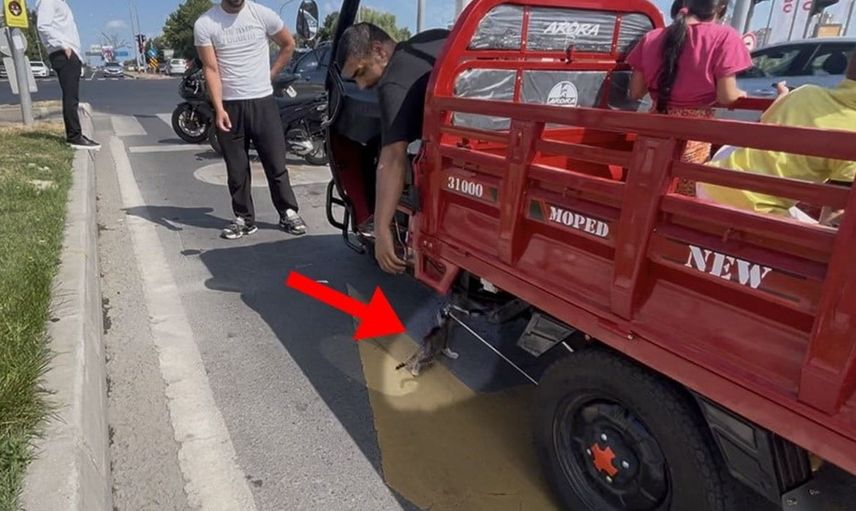 Mopedin altına giren yavru kedi son anda kurtarıldı