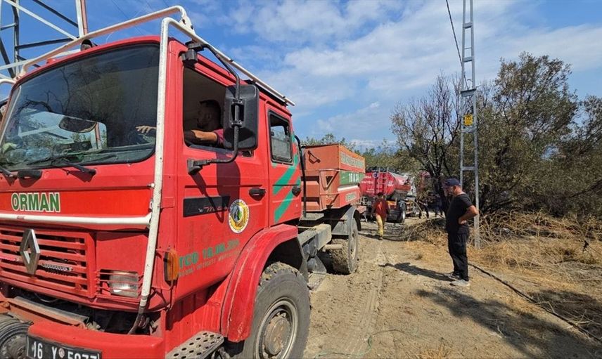 Mudanya'da Orman Yangını Kontrol Altına Alındı