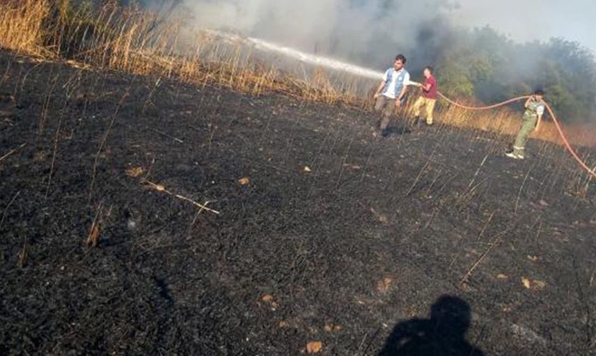 Muğla Datça'da Büyük Yangın: 19 Dönüm Arazi Kül Oldu
