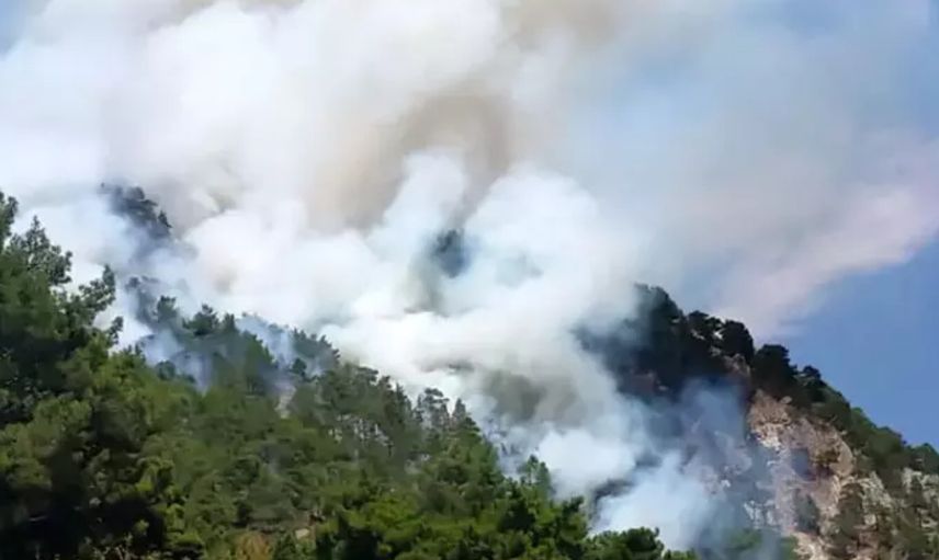 Muğla, İzmir ve Antalya'da Orman Yangını: Dumanlar Etrafı Sardı!