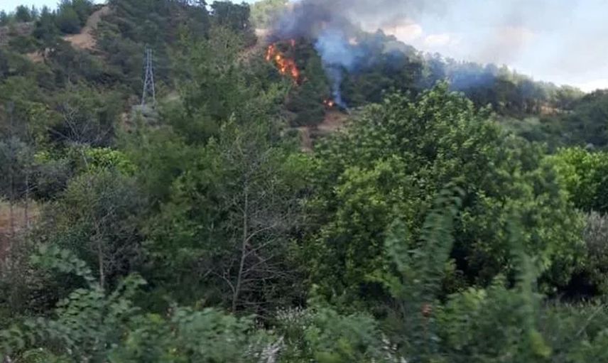 Muğla'da korkutan orman yangını! 2 uçak, 3 helikopter ve arazöz ekipleri yangına müdahalede bulunuyor!