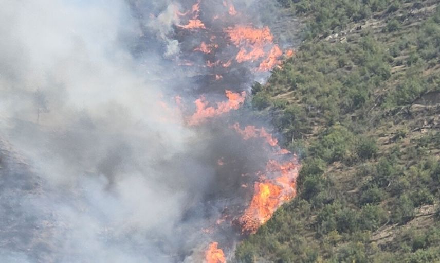 Muğla’da korkutan orman yangını: Olay yerine birçok ekip sevk edildi