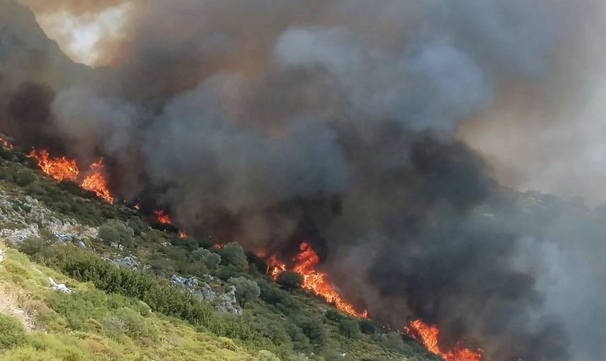 Muğla'da makilik yangını: Bölgeye ekipler sevk ediliyor!