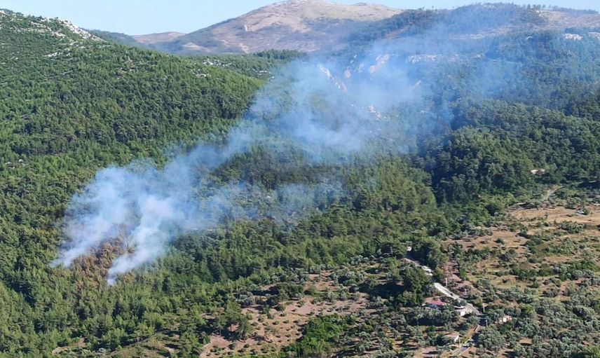 Muğla’da orman yangını: Ekipler müdahale ediyor