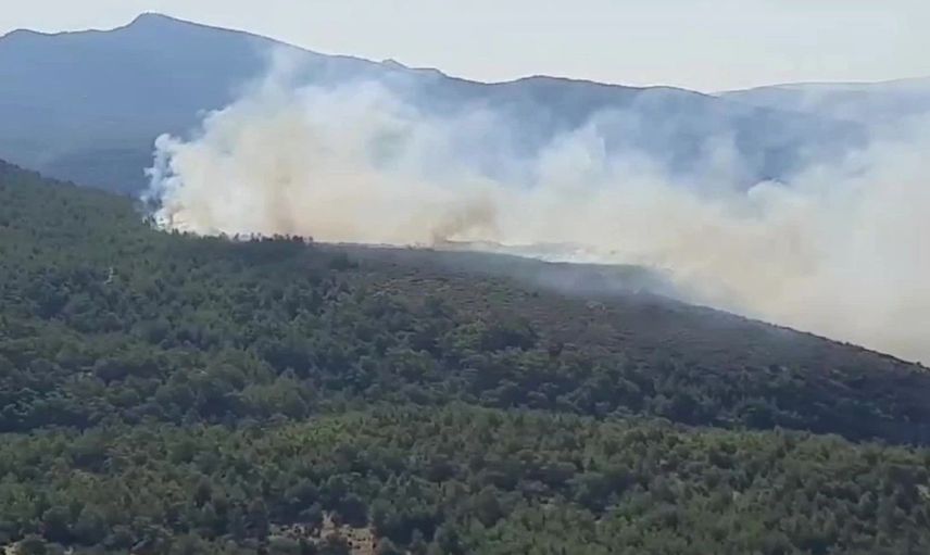 Muğla’da orman yangını: Hava ve karadan yoğun müdahale ediliyor