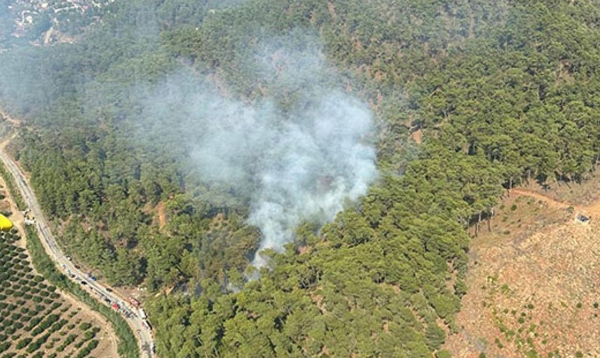 Muğla’da paniğe neden olan orman yangını: Ekipler kısa sürede kontrol altına aldı
