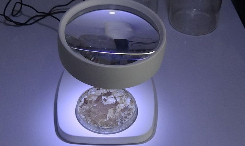 Müsilaj Fırsata Dönebilir mi? Gübre Yapımında Kullanılacak