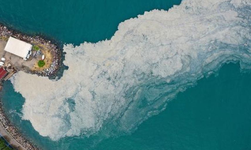 Müsilaj Problemi Devam Ediyor! 'Marmara'da Asıl Sorun Dipte'