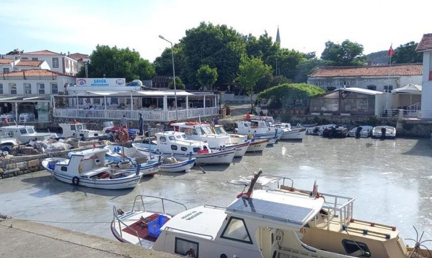 Müsilaj Tatil Cenneti Bozcaada'da Da Görüldü!
