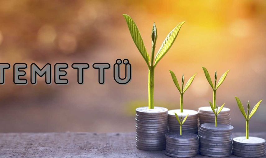 Nakit temettü verecek 7 şirket listesi 13 - 17 Haziran 2022