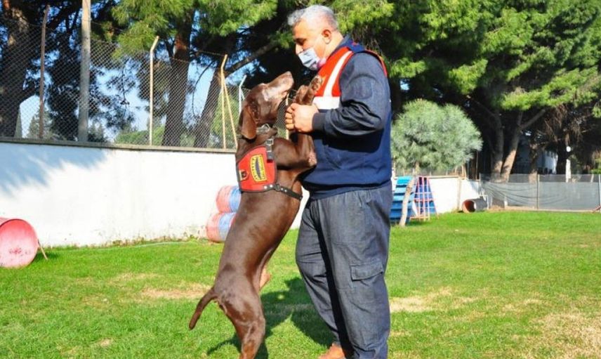 Narkotik Köpeği Volta Emekli Oldu