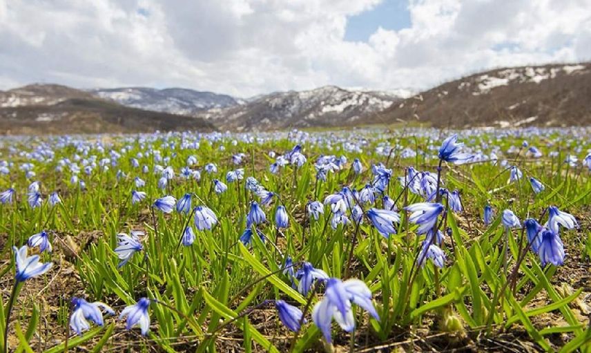 Nevruz ne zaman, hangi gün kutlanacak? 2022 Nevruz Bayramı tarihi