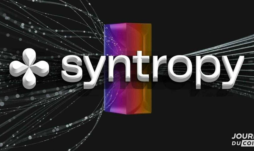 Noia Syntropy coin nedir? Syntropy coin projesi ve yol haritası