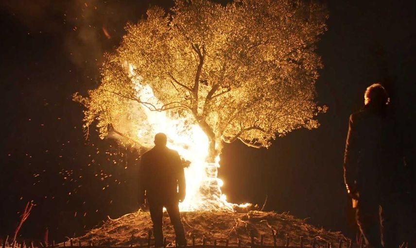 Nuh Tepesi film konusu ve oyuncuları