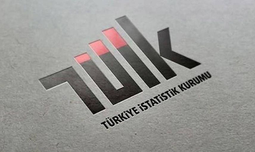 Nurettin Kaya kimdir, görevden neden alındı? TÜİK Başkan Yardımcı Nurettin Kaya hakkında bilgiler
