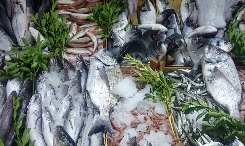 Ocak ayında hangi balıklar tüketilmeli?