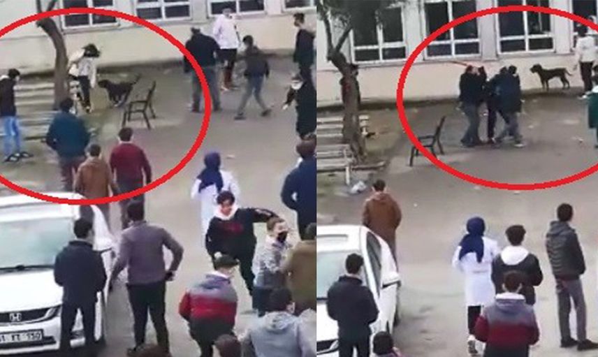 Okul Bahçesine Giren Pitbull Öğrencilere Korku Dolu Anlar Yaşattı
