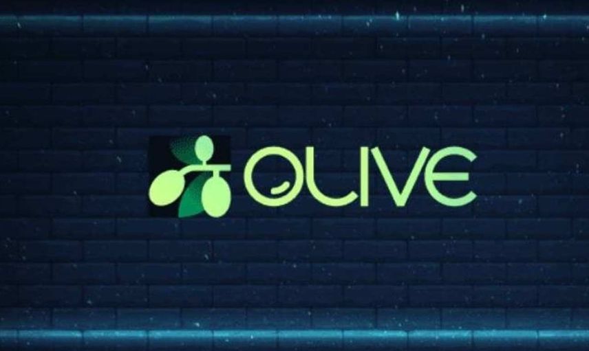 Olive coin nedir? OLV coin projesi ve yol haritası
