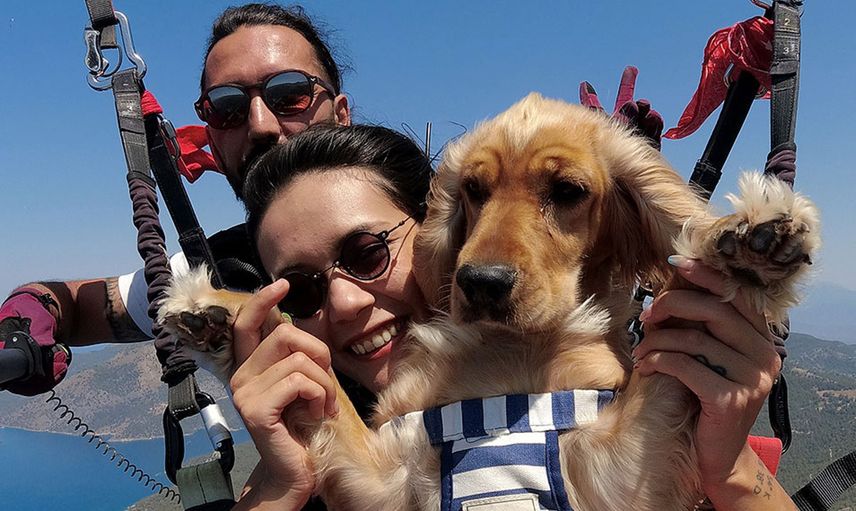 Ölüdeniz'in Eşsiz Manzarasında Köpeği  ile Yamaç Paraşütü Yaptı