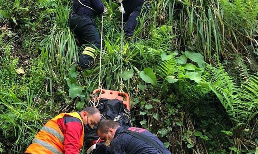 Ordu'da Bir Kişi Kestiği Ağaçla Beraber Dereye Uçtu