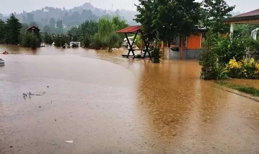 Ordu'da şiddetli yağış hayatı durma noktasına getirdi: Birçok ev sular altına kaldı
