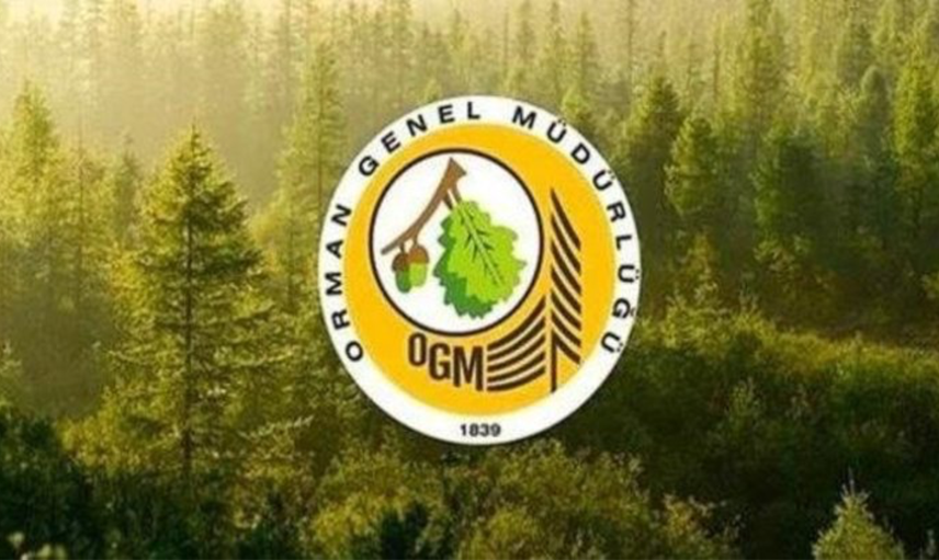 Orman Genel Müdürlüğü’nden müjde duyuruldu! 861 personel alımı için başvuru ekranı açıldı