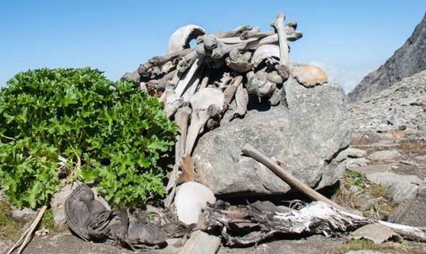 Orman korucusunun korkunç keşfi: Su çekilince yüzlerce iskelet ortaya çıktı!