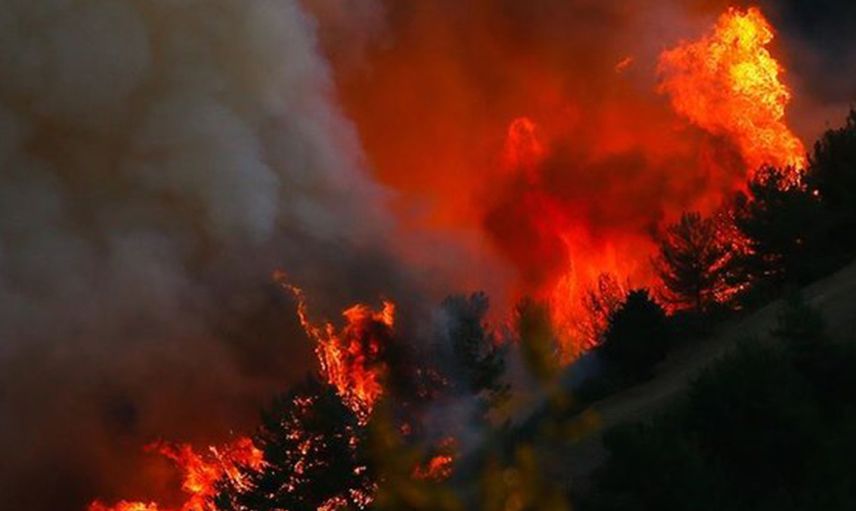 Orman Yangınlarını Terör Örgüt Üyeleri 'Ateşin Çocukları İnisiyatifi' ile Üstlendi