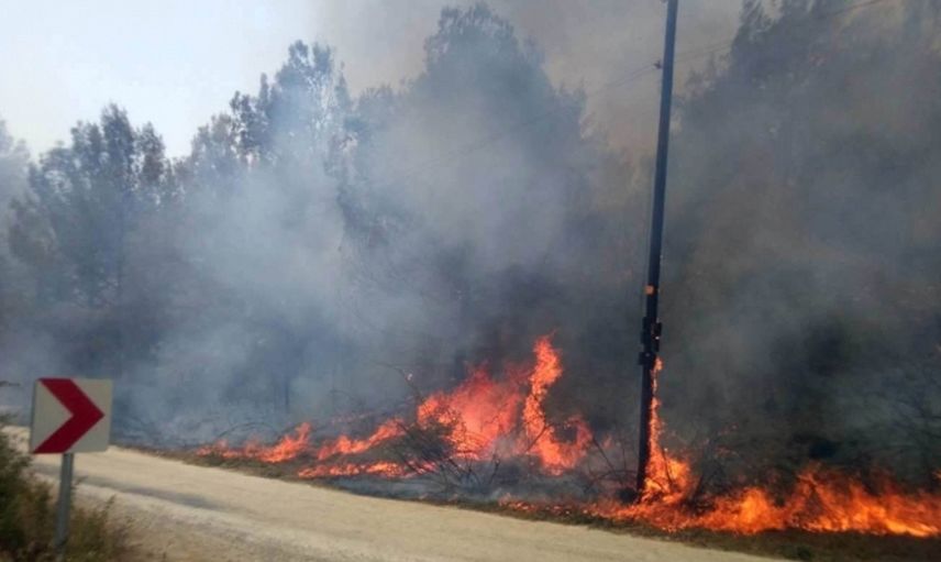 Ormanlarımız Yanıyor! Antalya'nın Ardından Mersin Kırıkkale ve Adana'da Orman Yangınları Çıktı!
