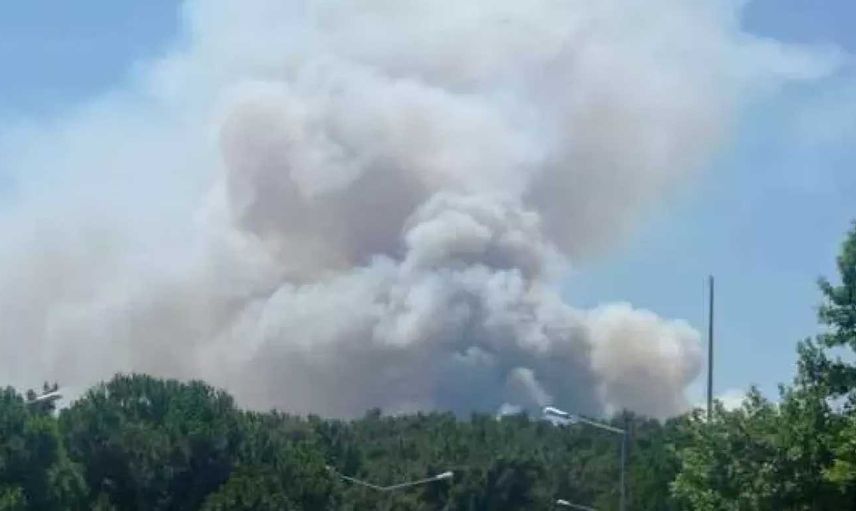 Ormanlarımız yanıyor! İzmir ve Kırklareli'nden sonra şimdi de Manisa'da korkutan orman yangınına ekipler müdahale ediyor