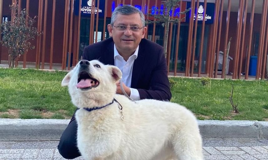Özgür Özel'den 'başıboş köpek' çıkışı: Gerekirse siper oluruz