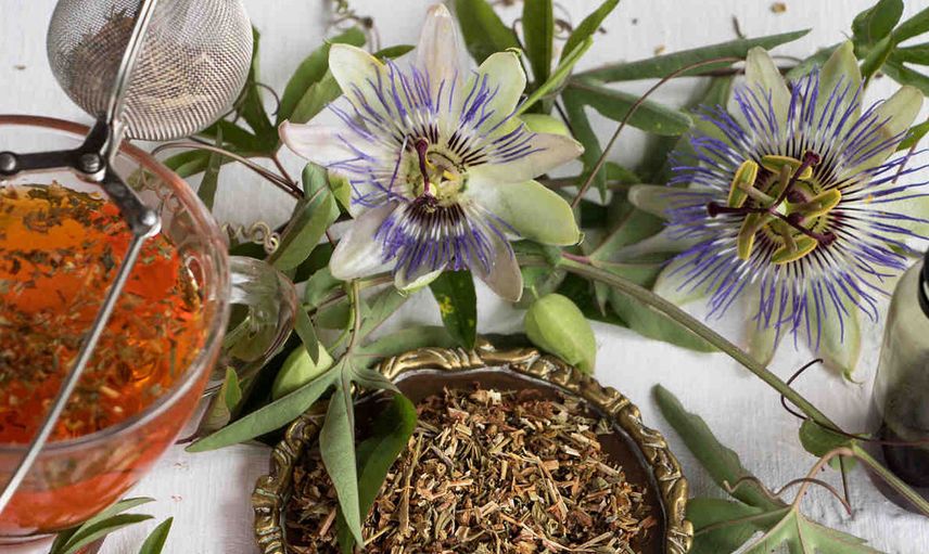 Passiflora çayı ne işe yarar, nasıl yapılır? Doğal bir sakinleştirici olan passiflora çayının faydaları 