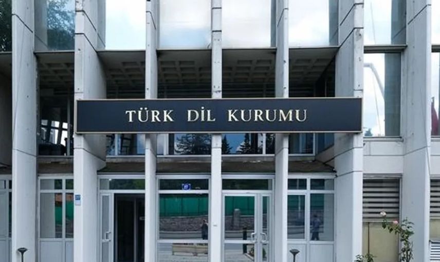 Pireyi Deve Yapmak Ne Demek, TDK Sözlük Anlamı Nedir?