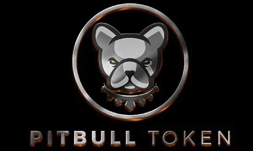 Pitbull coin nedir? Pit coin projesi ve yol haritası