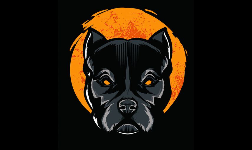 Pitbull Token Nedir?