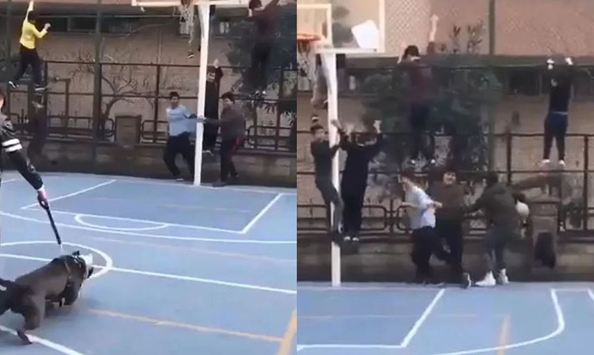 Pitbull'la şaka yapayım derken çocuklara dehşet dolu anlar yaşattı!