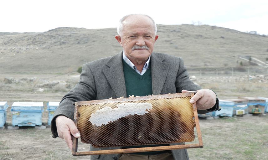 Polen kıtlığı, arıcılarda endişe yaratıyor: Arı ölüm oranı yüzde 90!