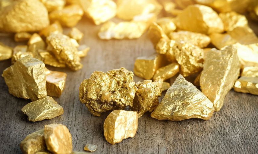 Polonya'da gizli hazine haritası ortaya çıktı! 10 ton altın çıkarılacak