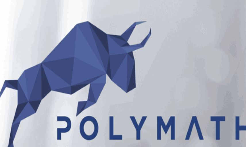 Poly coin nedir? Polymath Network Coin projesi ve yol haritası