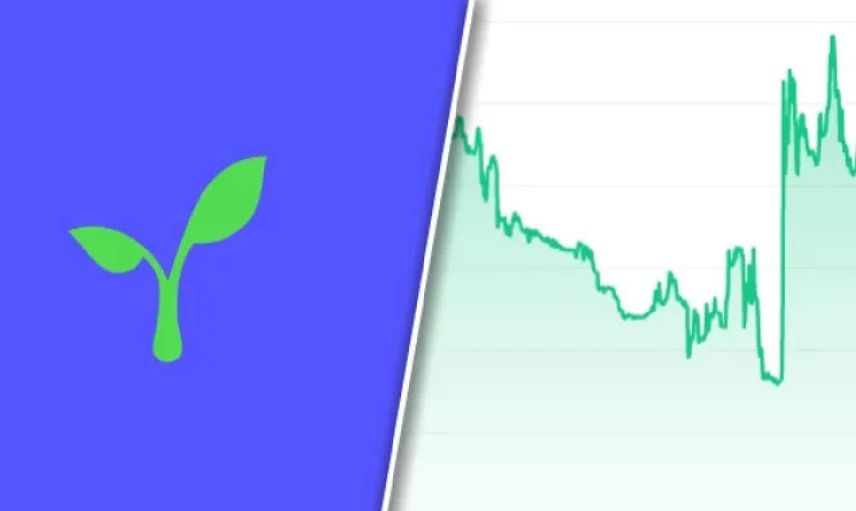 RAD coin nedir? Radicle coin projesi ve yol haritası