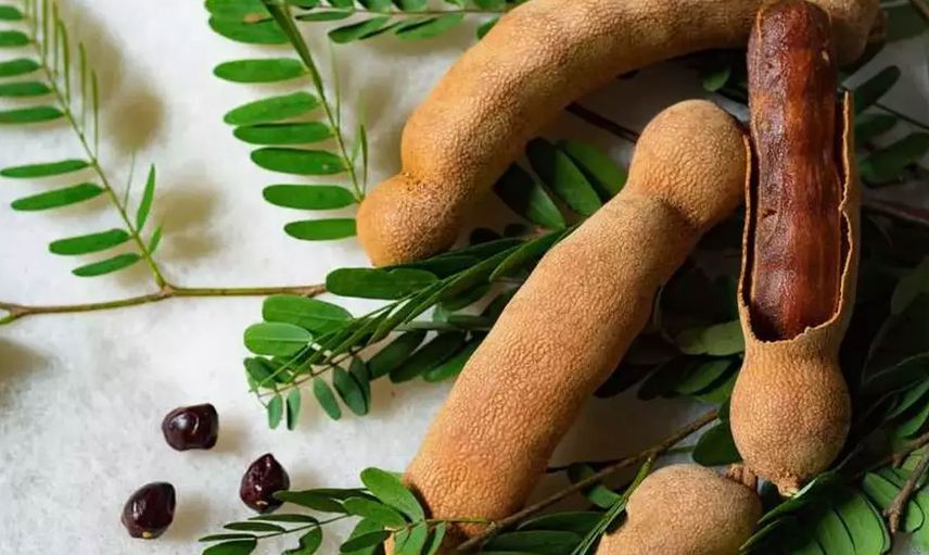 Ramazan ayında susuzluğunuzu gideren o eşsiz bitki!