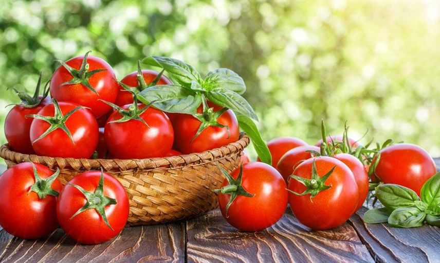 Resmi Gazete'de yayımlandı! Domates ihracatı izne bağlandı
