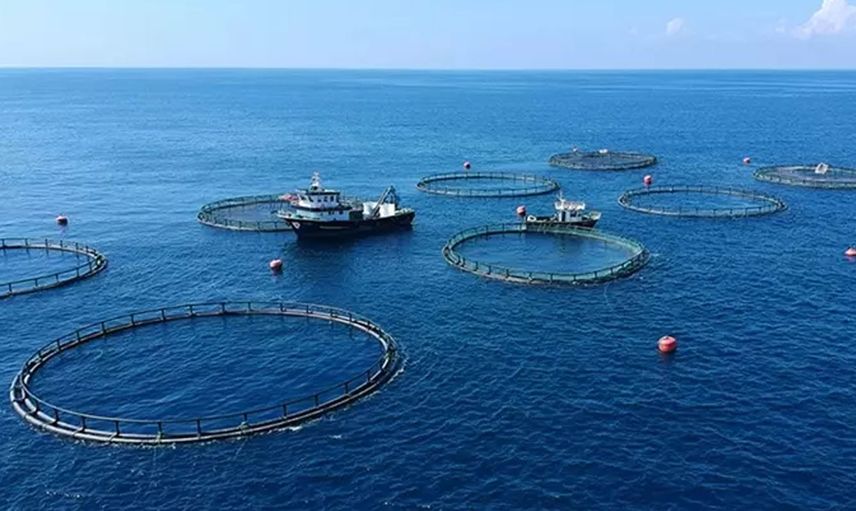 Resmi Gazete’de yayımlandı: Su kaynaklarını korumak için Ulusal Su Kanalı kuruldu