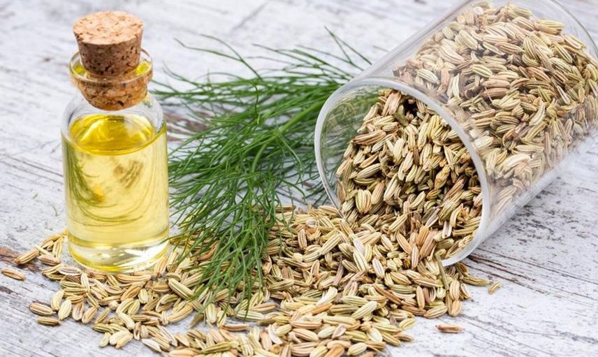 Rezene Tohumu Yağı Zayıflatır mı?