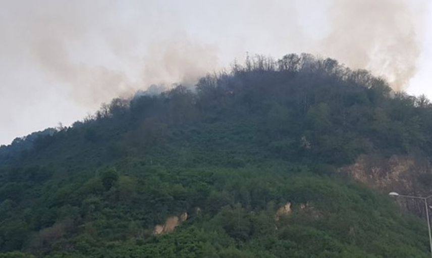 Rize'de Orman Yangını