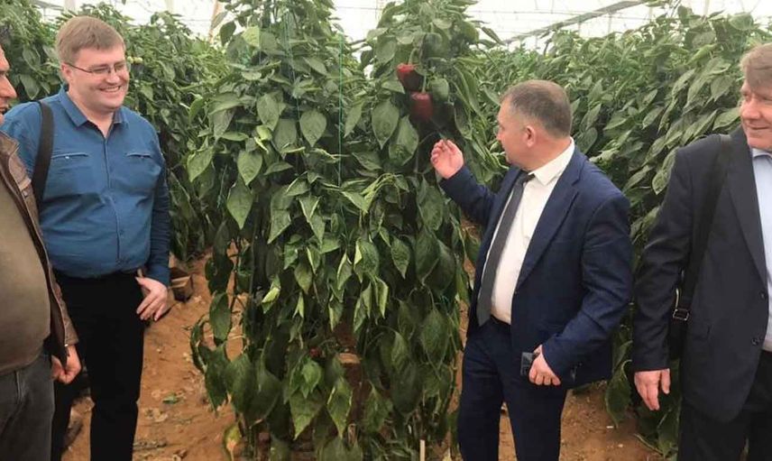 Rusya'dan beklenen resmi yazı geldi: Türkiye’ye uygulanan sebze meyve yasakları kaldırıldı!