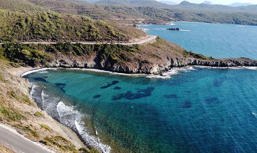 Rusya'nın işgali Türkiye'yi nasıl etkileycek? Uzman isimden uyarı geldi