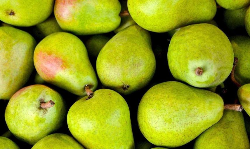 Rüyada armut ağacı görmek ne anlama gelir? Rüyada armut ağacı görmenin anlamları
