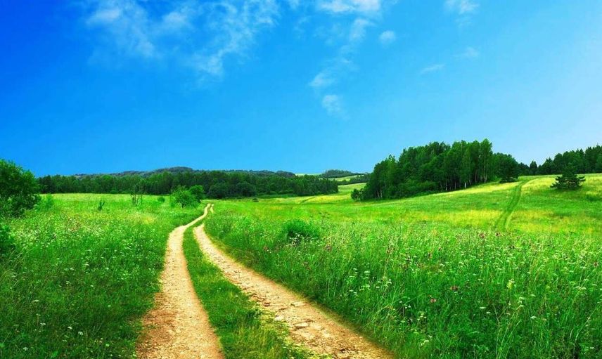 Rüyada arsa görmek anlamı nedir, neye yorumlanır? Arsa görme rüyasının tabiri ve anlamı
